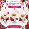 Luxury Super Berries Green Tea Handbag Gift Set 10 Premium Individually Wrapped Fruity Green Tea Bags Elegant Berry Tea Gift Box with Ribbon Handle Luxury Afternoon Tea Gift for Tea Lovers view 4