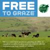 Arla Cravendale Filtered Fresh Whole Milk 1L Fresher for Longer | Case of 1 view 2