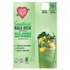 Love Struck Smoothies Kale Kick Kale, Mango and Spinach 15 x 140g | Case of 1 view 1