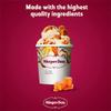Hagen-Dazs Salted Caramel Ice Cream 460ml | Case of 8 view 2