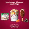 Hagen-Dazs Salted Caramel Ice Cream 460ml | Case of 8 view 4