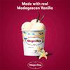 Hagen-Dazs Vanilla Ice Cream 460 ml | Case of 8 view 2