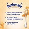 Ambrosia Ready to Eat Porridge Oat Cereal Pot Original 210g | Case of 6 view 3