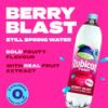 Rubicon Twist Berry Blast Still Flavoured Spring Water 12x500ml view 2