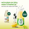 Innocent Juicy Water Lemon & Lime 420ml | Case of 12 view 4