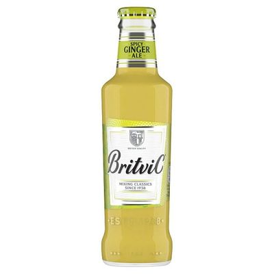 Britvic Spicy Ginger Ale Bottle 200ml | Case of 24
