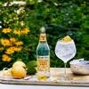 Fever-Tree Premium Indian Tonic Water 500ml | Case of 8 view 2