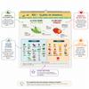 Seasonal Fruits and Vegetables | Perpetual Calendar to Follow Over the Months | Format 21 x 29.7 cm (A4) | Gift Idea view 2