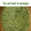 Osmanthus Dragonwell Tea,Combined Tea of Fresh Osmanthus Fragrans and Dragon Well Green Tea Leaf picked Before Grain Rain Day,8.8 oz./250g, view 4