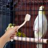 SECFOU 2 Pcs Kitchen Sink and Birdcage Cleaning Brushes with Dual-brush Head Design, Soft Pp Bristles, Compact and Portable for Home and Travel, Easy Hanging and Storage view 4