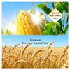 Corn And Oat Cereal Powder, 500g Packet, Instantly Dissolves, Smooth, Sweet And Caramelized view 2