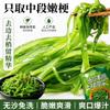 Seaweed salad, sweet and sour wasabi mixed vegetables, Japanese/Korean style wakame seaweed strips, Japanese sushi side dish, delicious snack, Chinese snack food (Wasabi flavor,2bags) view 4