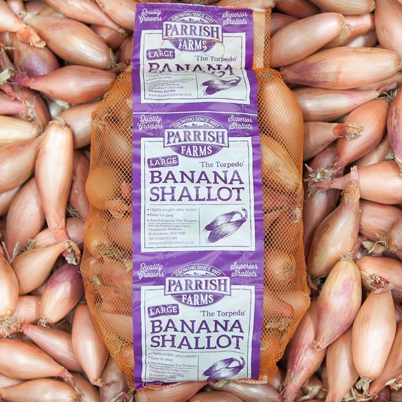 8kg Large (40-60mm) Banana Shallots - UK Grown Echalions