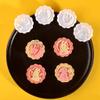 NEWFT Set Shape Mold Press Safe Cookie for Mid-Autumn Festival Use view 4