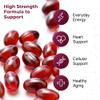 CoQ10 Supplement, Fermented Coenzyme Q10 Ubiquinone, 300mg, 120 Softgels view 4