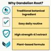 Dandelion Root Capsules 1600mg 4:1 Extract | High Strength Vegan Herbal Formula for Daily Balance Support | Made in UK | 270 Capsules view 3