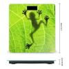 Biology Animal Frog Leaf Scales for Body Weight LCD Display Digital Scale Bathroom Weighing Scalees view 2
