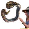 Realistic Snake Prank - Halloween Tricky Snake Wristband,Scary Anaconda view 1