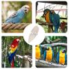 Healifty Cuttlebone Chew Calcium Supplement with Metal Holder, Easy to Absorb 6 Set White Cage Hanging Pendant for Natural Beak Care for Birds and Small Pets for Parrots and Hamsters view 3