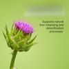 Liver detoxification and repair relieve hangover and protect the liver, detoxify and repair the liver view 2