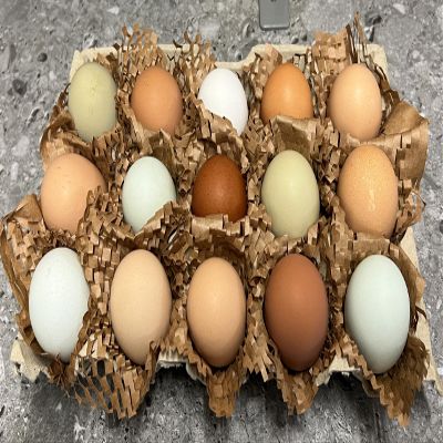 Fertile Chicken Hatching Eggs (15)