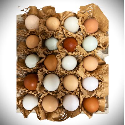Fertile Chicken Hatching Eggs (20)