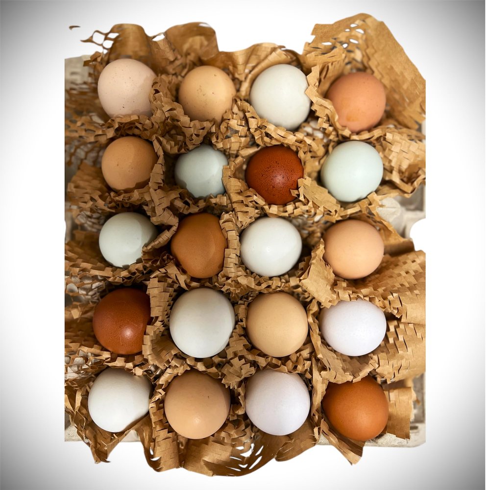 Fertile Chicken Hatching Eggs (20)