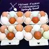 Fertile Chicken Hatching Eggs (20) view 4