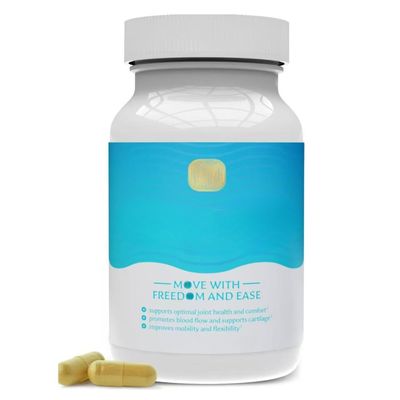 chondroitin & glucosamine nutritional supplements