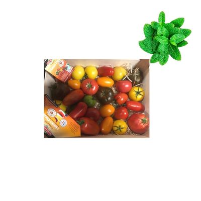 Fresh Heritage Tomatoes 3.5kg Box | Fresh Mint Included