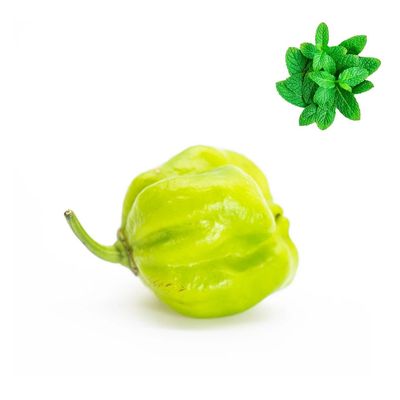 Naga Jolokia Green | Ghost Pepper 500gr -/+10% | Fresh Mint Included