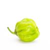Naga Jolokia Green | Ghost Pepper 500gr -/+10% | Fresh Mint Included view 2