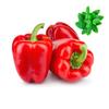 Capsicum Red-Dutch 2kg | Fresh Mint Included view 1