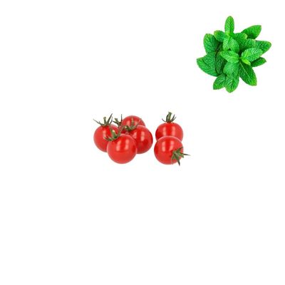 Tomato Loose Dutch/Spanish 5kg | Fresh Mint Included