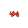 Tomato Loose Dutch/Spanish 5kg | Fresh Mint Included view 2