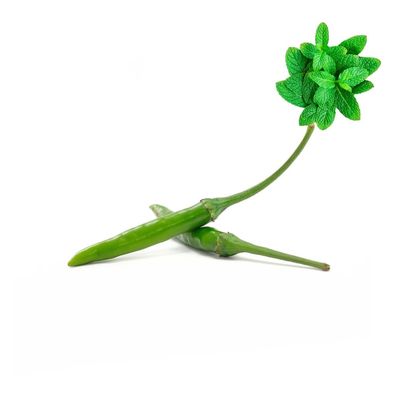 Green Bird's Eye Chili 1 kg -/+10% | Fresh Mint Included