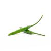 Green Bird's Eye Chili 1 kg -/+10% | Fresh Mint Included view 2