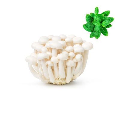 Mushroom-Shimeji White (Clamshell) 600gr | Fresh Mint Included