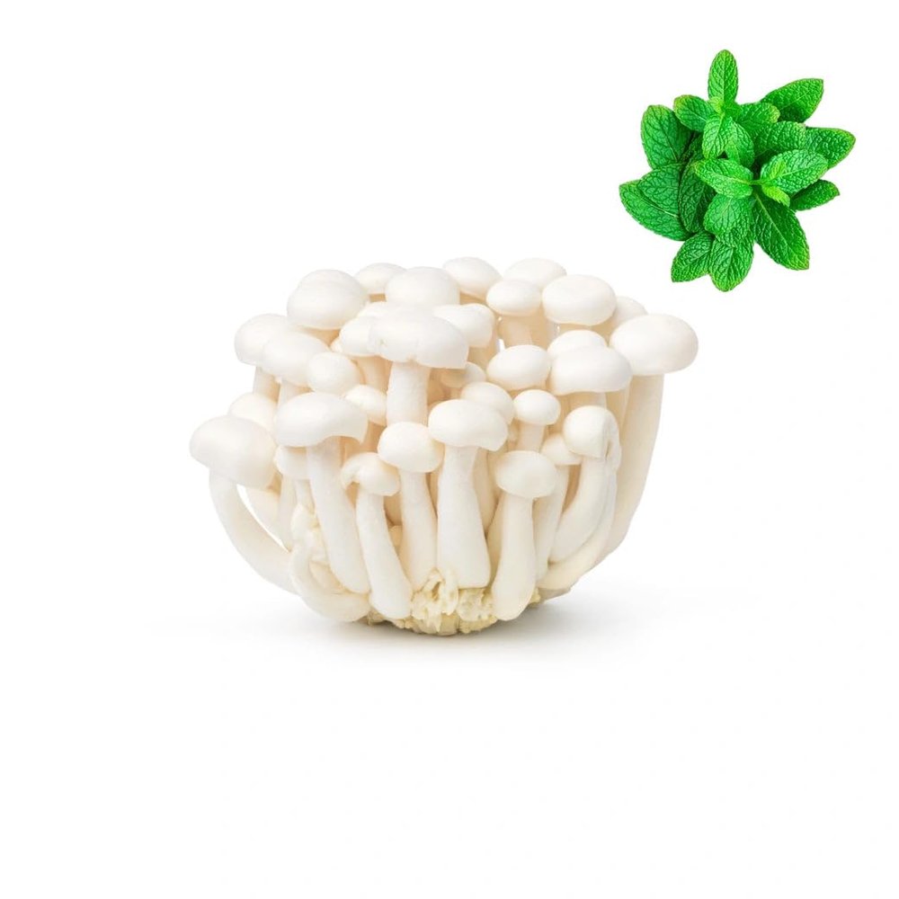 Mushroom-Shimeji White (Clamshell) 600gr | Fresh Mint Included