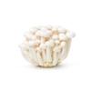 Mushroom-Shimeji White (Clamshell) 600gr | Fresh Mint Included view 2