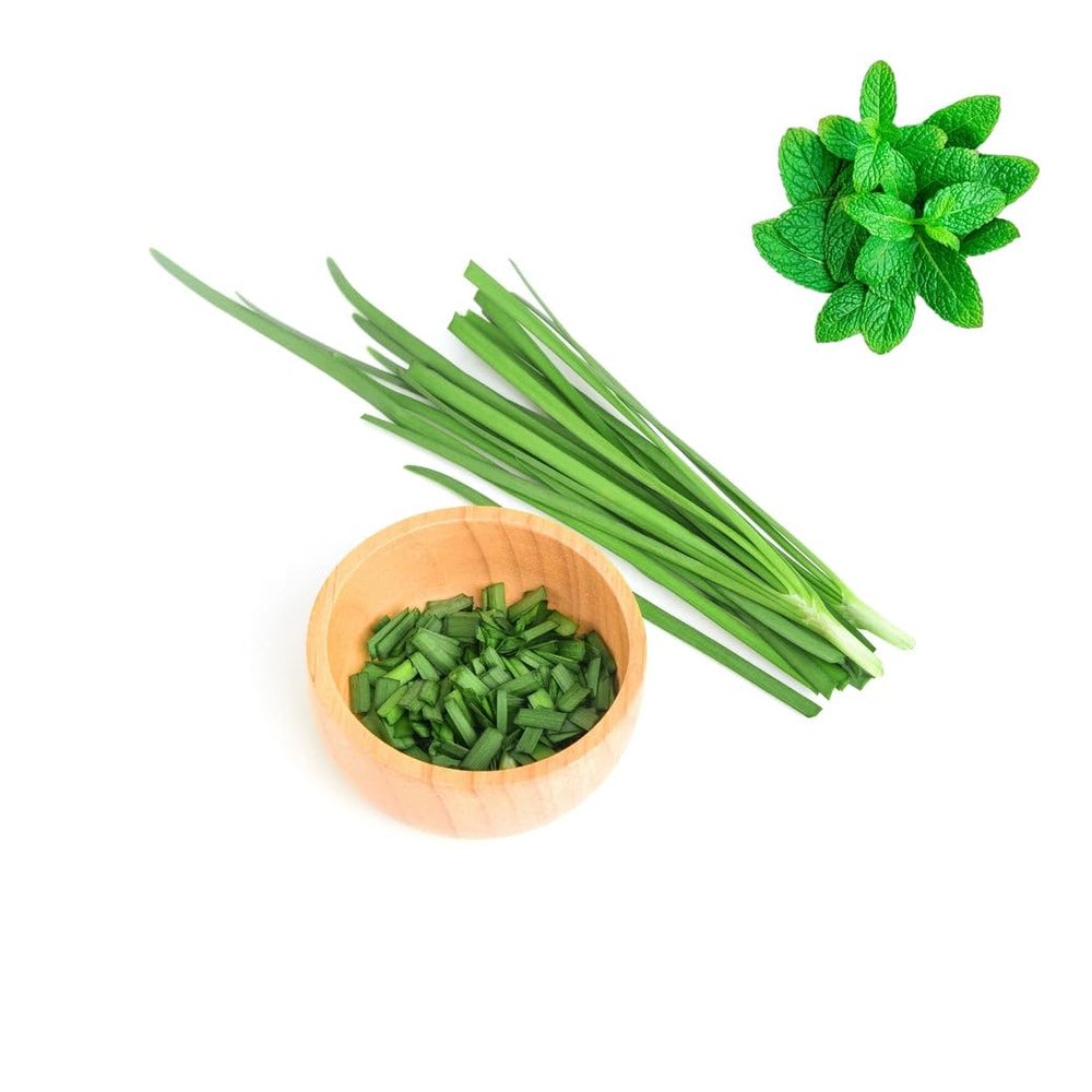 Kow-Choi/Chinese Chives (FOAM BOX) 1kg | Fresh Mint Included