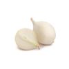 Onion White 9/10kg | Fresh Mint Included view 2