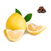 Honey Pomelo 2 Units | Fresh Dates Included view 1