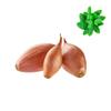 Onion Shallot Ghana - Box 2kg | Fresh Mint Included view 1