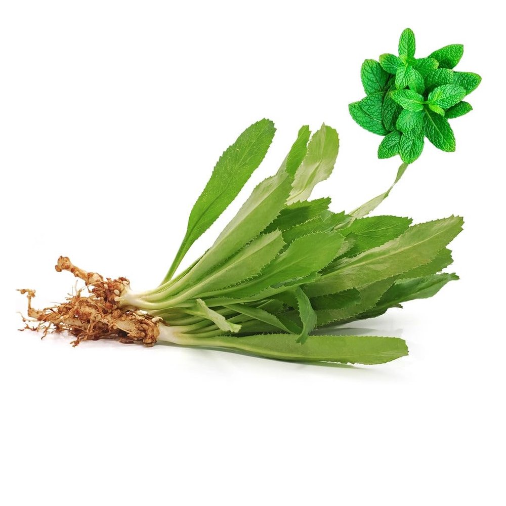 Pakchee Farang | Parsley Sawtooth 1 kg -/+10% | Fresh Mint Included