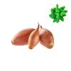Onion Shallot Indian-Bag-(2.5kg) | Fresh Mint Included view 1