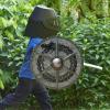 Medieval Shield Decoration - Decorative Shied for Home, Authentic view 3