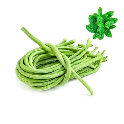 Long Beans - India 2kg (Green) | Fresh Mint Included