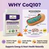 CoQ10 300mg High Strength with Vitamin B1 Living Manna Co Enzyme Q10 Supports Energy Production & Heart Health Vegan, GMP Certified Maximum Absorption 60 Capsules Food Supplement view 3
