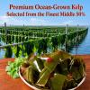 Spicy Kelp Snack 20pk Traditional Brine Seaweed, Side Dish for Rice Noodles view 2